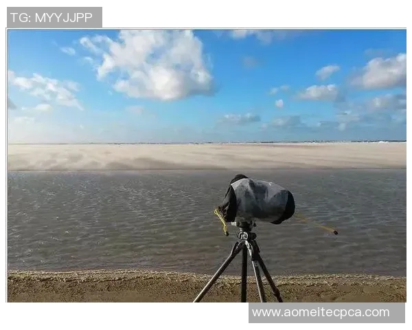 在雨中闪耀的足球明星是谁他如何在恶劣天气中展现卓越技艺